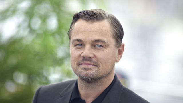 Leonardo DiCaprio's Travel Mode Sparks Fan Curiosity | ORBITAL AFFAIRS